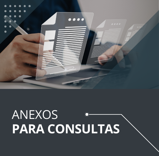 Anexos para su Consulta