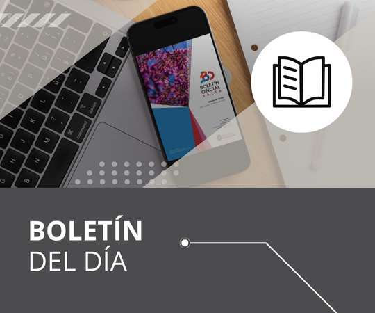 Boletín