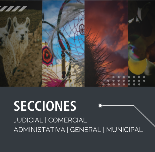 Secciones del Boletín